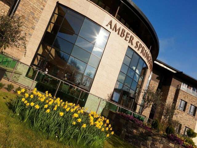 Отель Amber Springs Hotel Гори-18